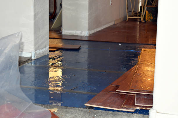 Professional Emergency Water Damage Restoration technician working in Edgewater, NJ